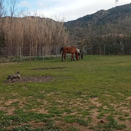El Guajiro Chalet Mas de las Matas