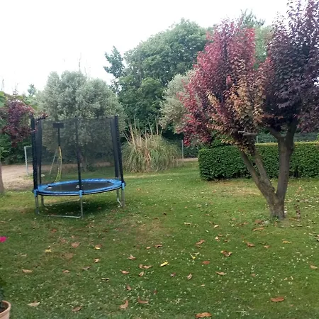 El Guajiro Mas de las Matas