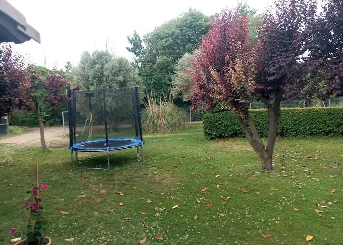 El Guajiro Mas de las Matas